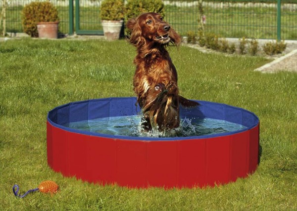 Doggy Pool 80 cm
